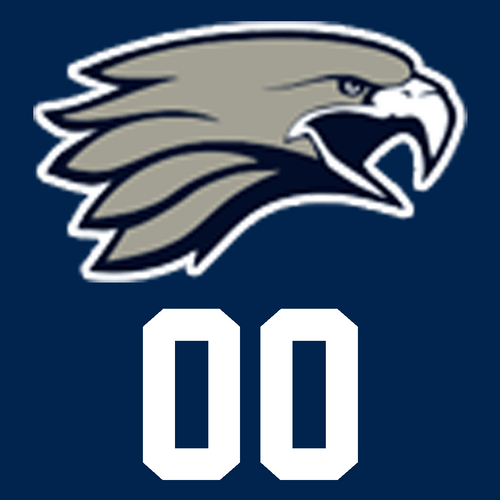 Broadview Hts Baseball Batting Helmet DECAL 