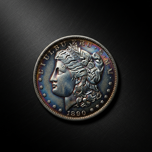 Morgan Silver Dollar (1878-1904)