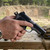 Kimber Micro 9 Shadow Ghost