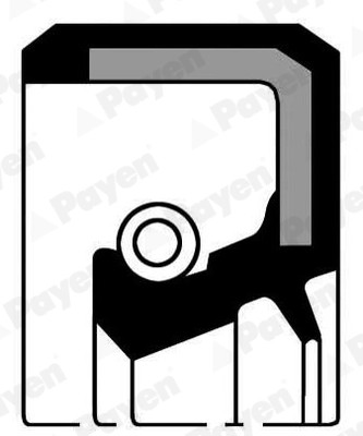 Bague d'étanchéité, vilebrequin PAYEN NJ268 compatible DAIHATSU CHARADE I