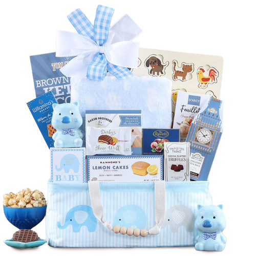 Celebrate New Life Gift Basket (Boy)