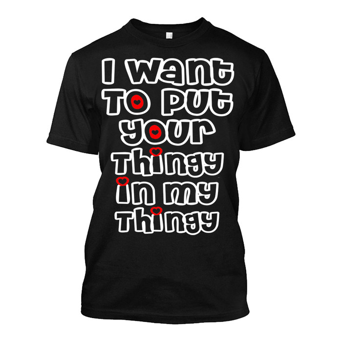 Men's I Want To Put Your Thingy In My Thingy - Tshirt