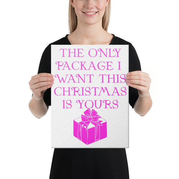 The Only Package I Want This Christmas Is Yours - Canvas (Pink Print)