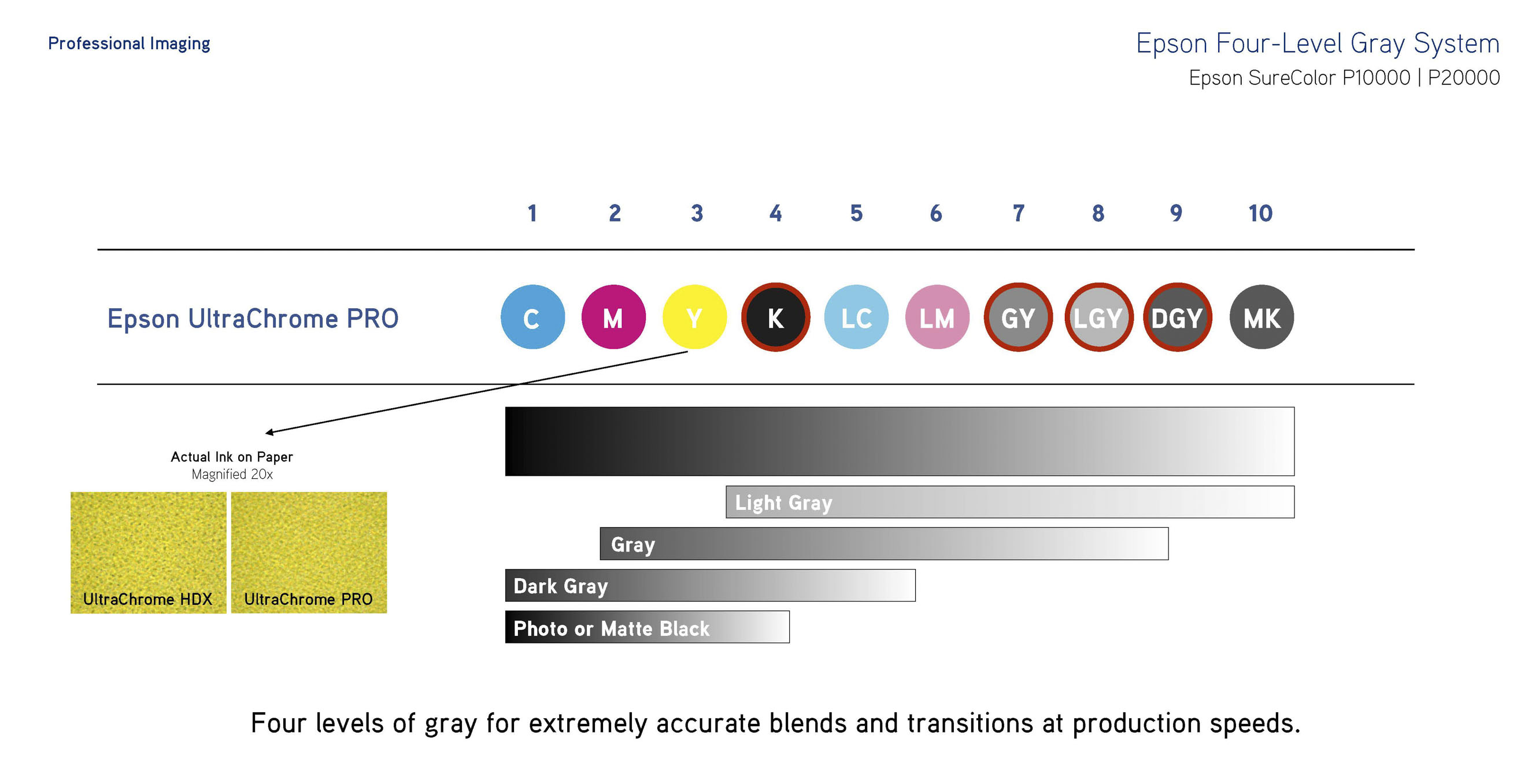 Four-Level Gray System