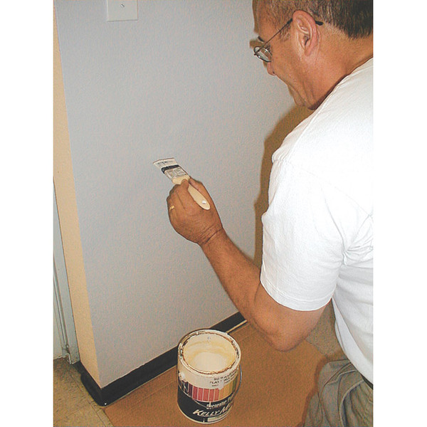 A room painted with Tachyon Star Dust product will convert the negative effects of Electromagnetic Fields (EMFs) into harmonious energy, providing an environment of peace and tranquility. Tachyon Micro-S Star Dust it the most effective paint additive we have ever tested.  A room painted with Tachyon Star Dust product will convert the negative effects of Electromagnetic Fields (EMFs) into harmonious energy, providing an environment of peace and tranquility. Tachyon Micro-S Star Dust it the most effective paint additive we have ever tested.