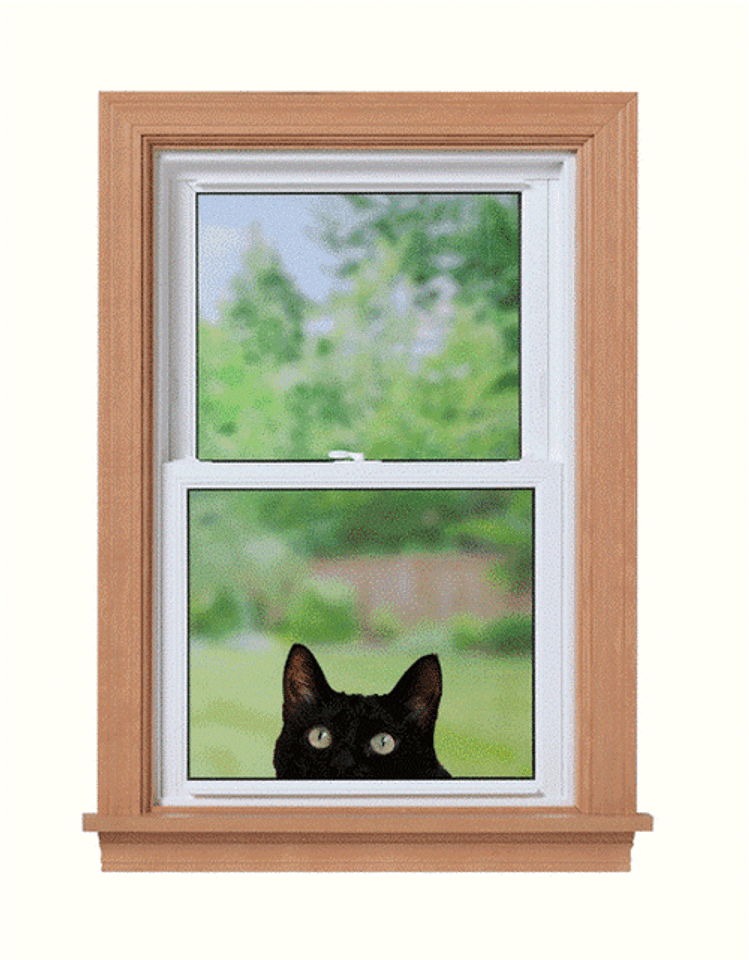 5G Window Treatment Kit