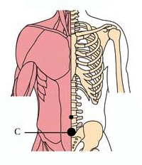 os-24-prostate-cell-points2.jpg