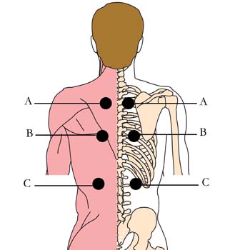 os-31-nicotine-addiction-cell-points.jpg