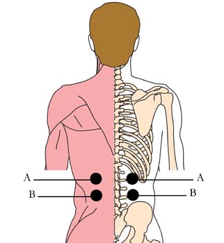 os-35-menopausal-cell-points1.jpg