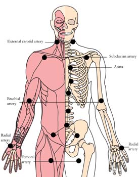 os-9-circulation-enhancing-tlc-points.jpg