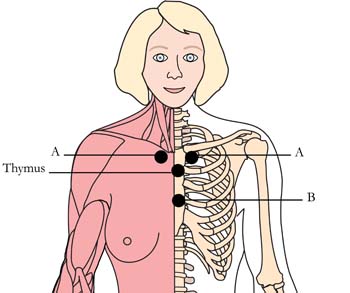 os-ova-menstrual-menopausal-cell-points.jpg