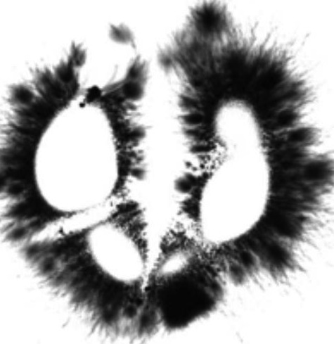 Peach Kirlian Study Tachyon