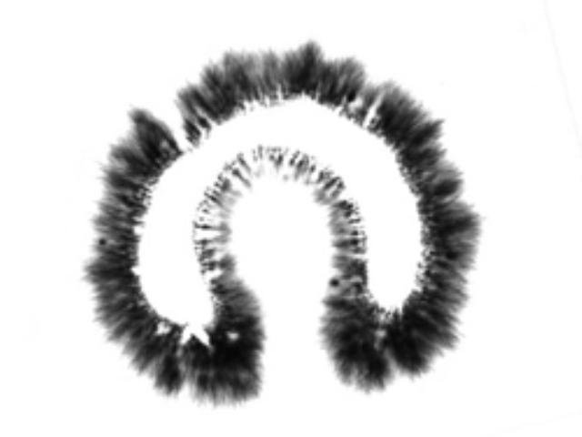 Plum Kirlian Study Tachyon