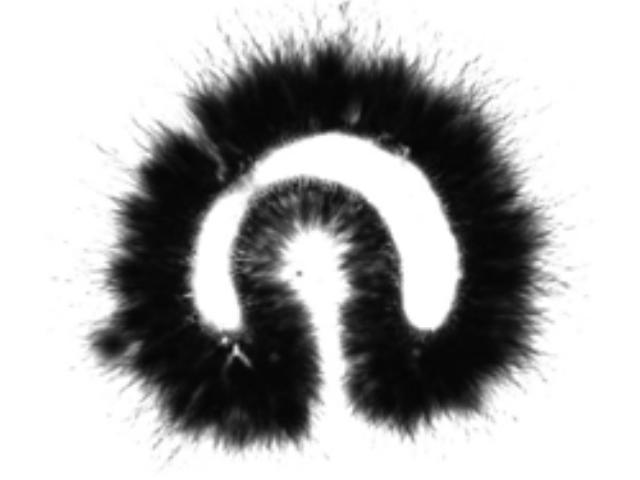 Plum2 Kirlian Study Tachyon