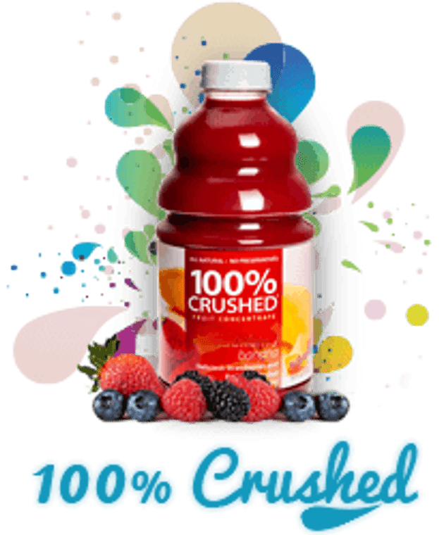 Dr. Smoothie 100% CRUSHED Fruit Concentrate (46 fl. oz)  