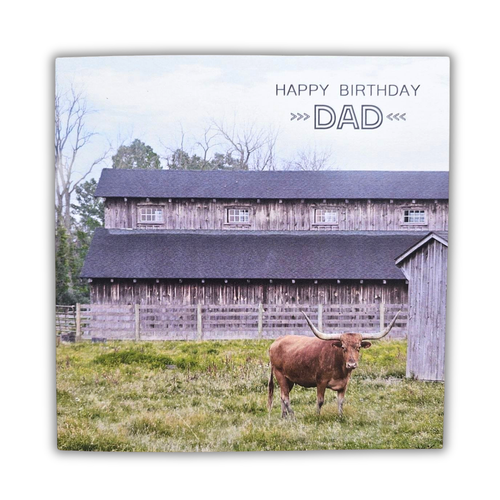 Texas Longhorn Card