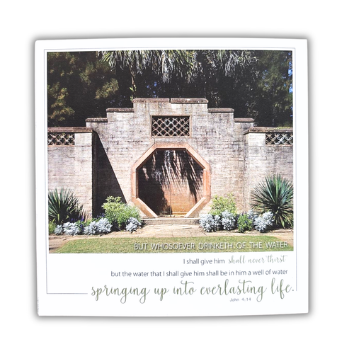 Spring Of Life Baptism Card