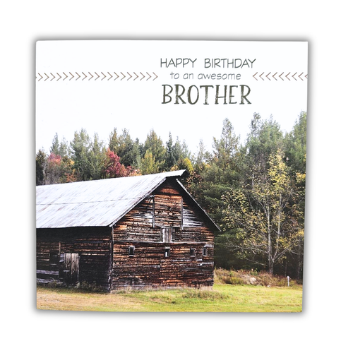 Awesome Brother Birthday Card