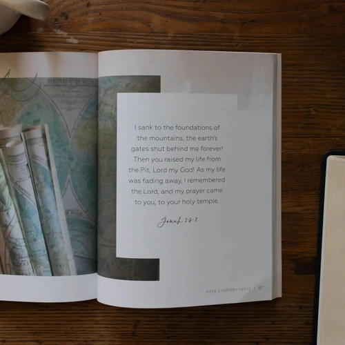 Mercy In The Storm Bible Study