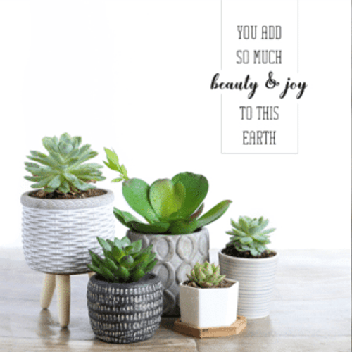 Beauty And Joy Birthday Card