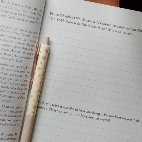 Esther Bible Study | Seeing God when He is Silent