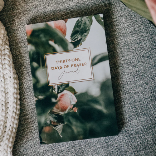 31 Days of Prayer Journal