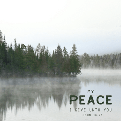 Peaceful Morning