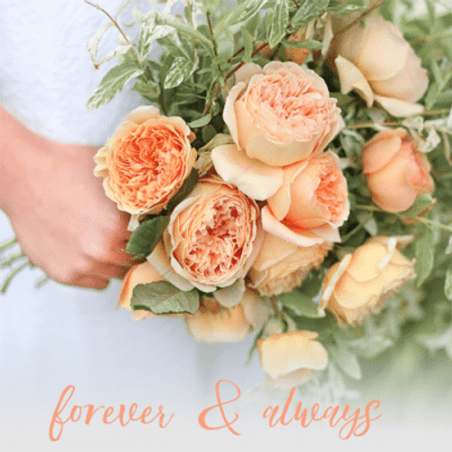 Captured Expressions Designs 1223 Cherish Each moment
