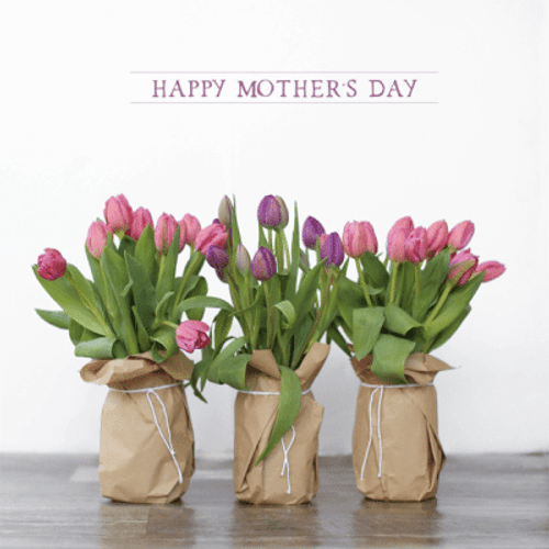 Captured Expressions Designs 12790 Spring Cheer