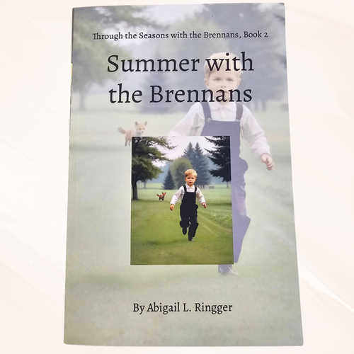 Summer with The Brennans Book 2