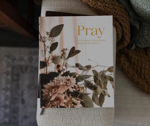 Pray Bible Study