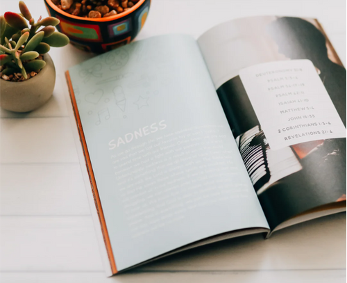 Daily Truth For Kids Bible Study