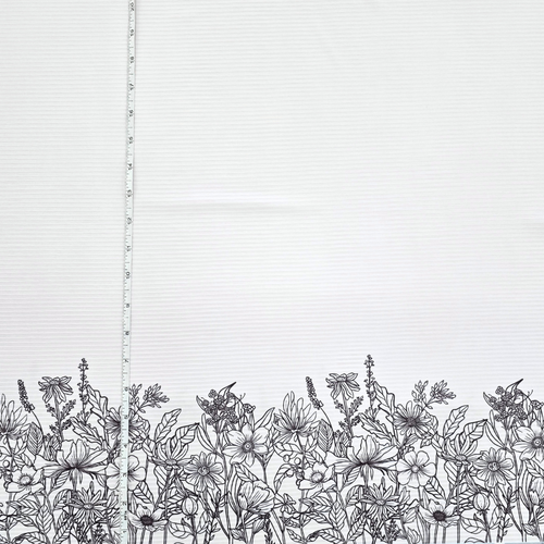 Beth's Exclusive Wild Daisy and Stems Fall Border on White Rib Knit