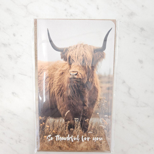 Highland Cow Adult Theme Gift