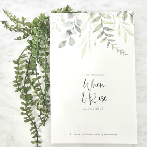 In The  Morning When I Rise Book