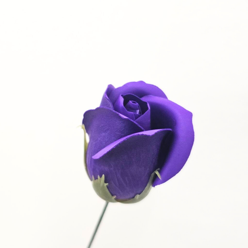 Purple Soap Petal Roses