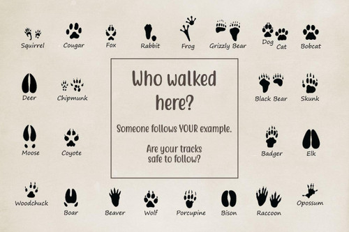 Who Walked Here Poster