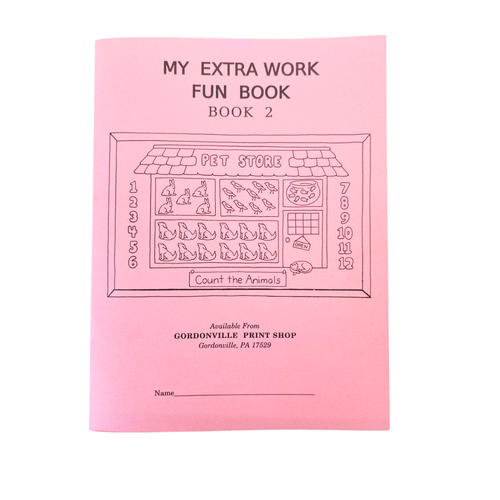 My Extra Work Fun Book 2