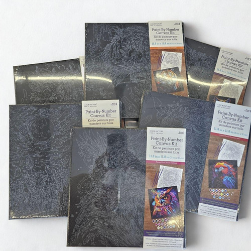 Paint By Number Canvas Kit