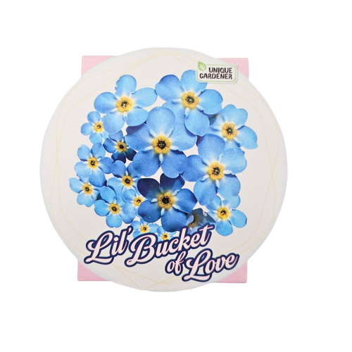 Lil' Bucket Of Love~Forget-Me-Nots
