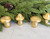 Gold Mini Mushroom