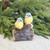 Birds On Log