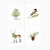 Evergreen Christmas Assorted Notecard Set