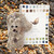 Bird Watcher Theme Gift