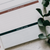 Teal Floral Weekly Tasks