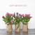 Captured Expressions Designs 12790 Spring Cheer