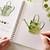 Garden Watercolor Workbook Garden Watercolor Workbook