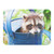 Rascal The Raccoon Puzzle