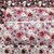 Beth's Exclusive Pomegranate Garden on White Round Poly Swiss Dot (sold by half yards) Beth's Exclusive Pomegranate Garden on White Round Poly Swiss Dot (sold by half yards)