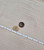 Coconut Shell Buttons 2pk (2 sided)